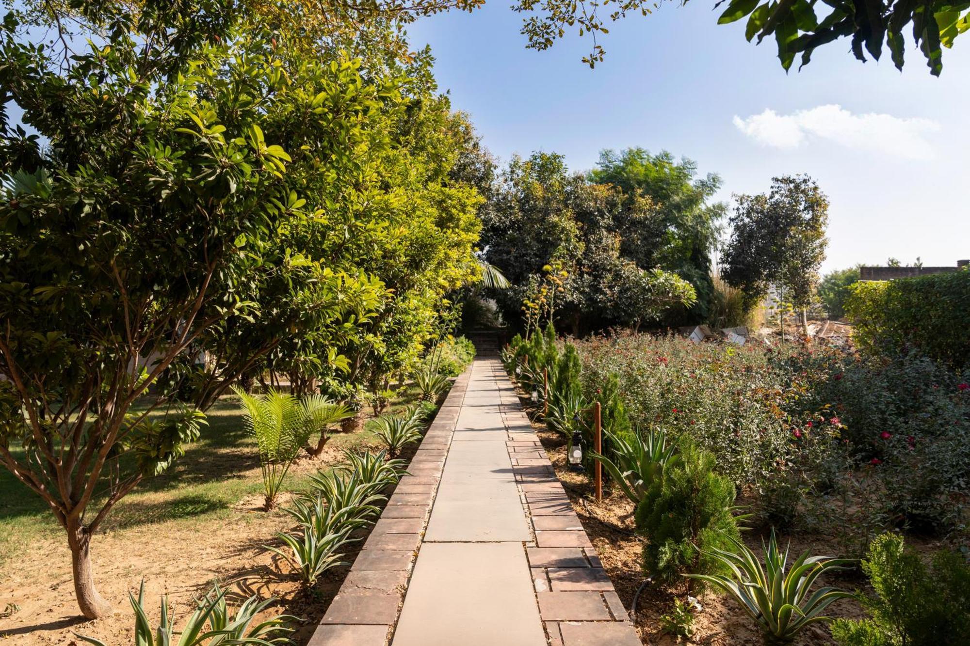 Abhyaran Resort & Spa Ranthambore Савай Мадхопур Екстериор снимка